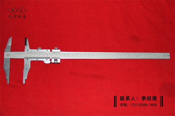 公英制游標(biāo)卡尺0-300mmB