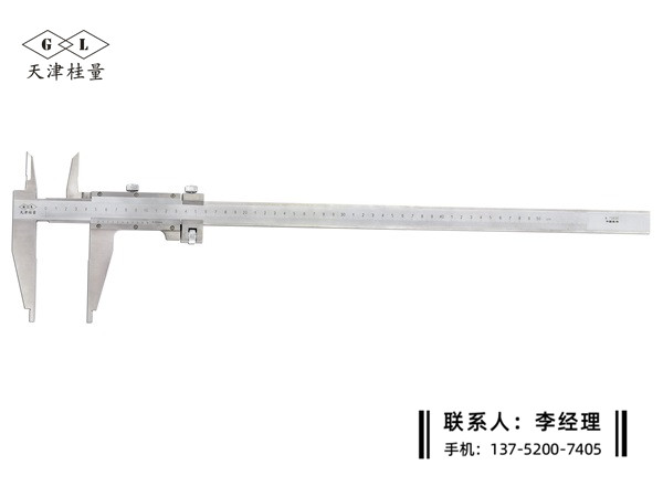 雙內(nèi)爪游標(biāo)卡尺0-500mm