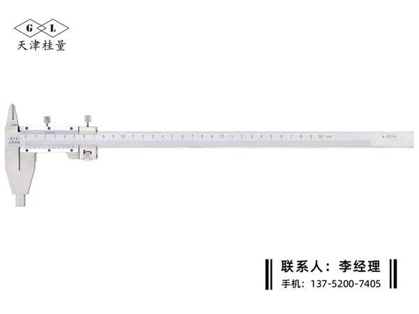 雙內(nèi)爪游標(biāo)卡尺0-300mm