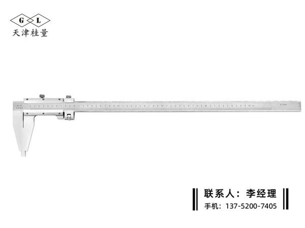 Ⅳ型游標卡尺0-500mm
