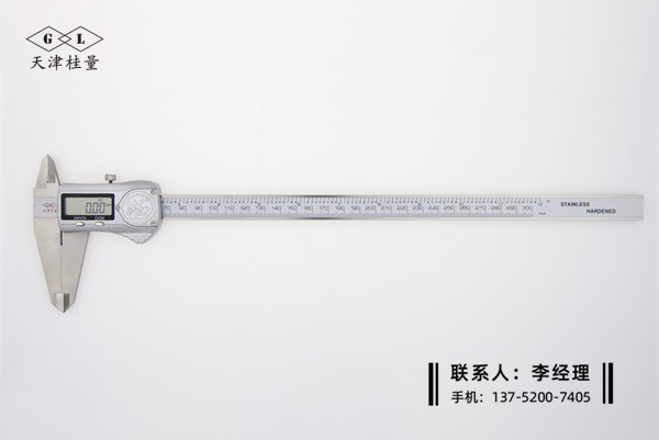 IP67防水數(shù)顯卡尺0-300mm