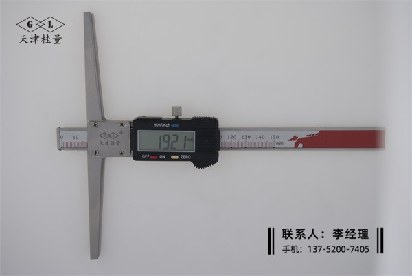 漩口測量數(shù)顯卡尺0-100mm