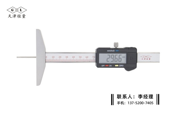 細(xì)桿數(shù)顯深度卡尺0-100mm