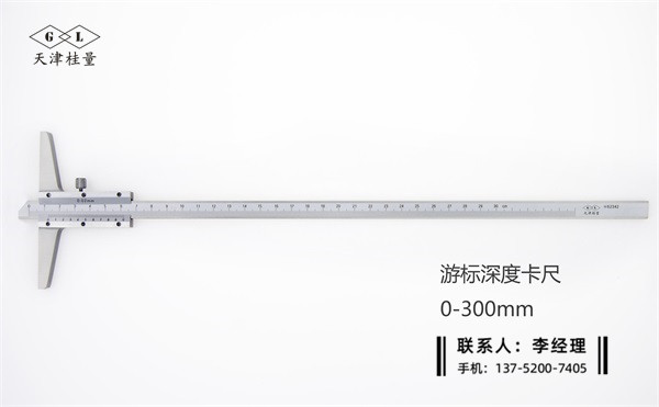 深度游標(biāo)卡尺0-300mm