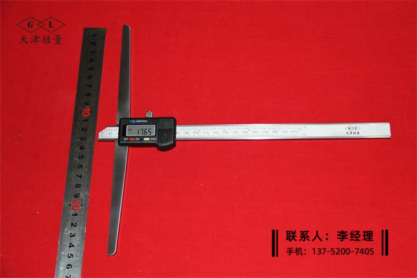 加長橋數(shù)顯深度卡尺0-200×250mm