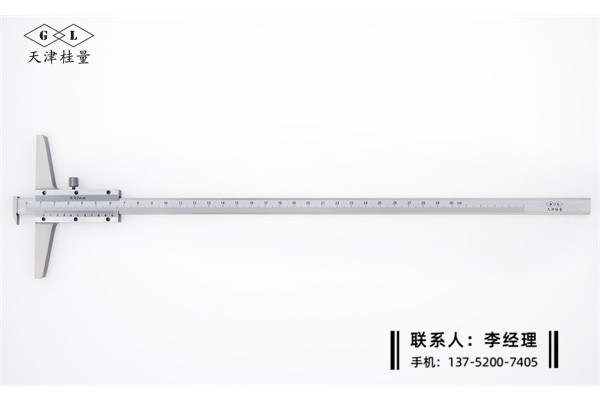 多用深度游標(biāo)卡尺0-300mm