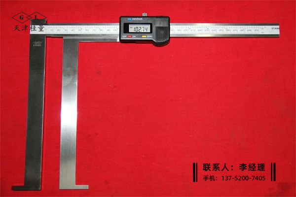 刀頭內(nèi)溝槽數(shù)顯卡尺40-200×200mm