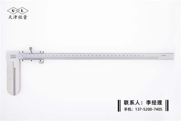 長爪內(nèi)徑游標(biāo)卡尺20-300mm