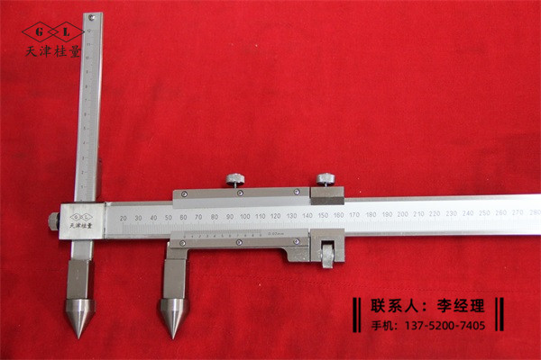 孔距游標卡尺20-500mm