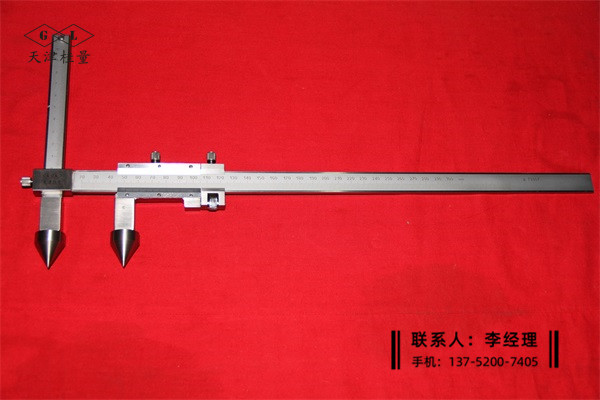 孔距游標(biāo)卡尺20-300mm