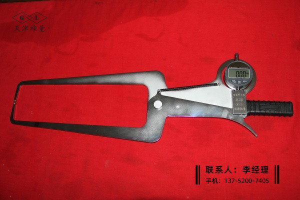 數(shù)顯外卡規(guī)0-20×300高80mm