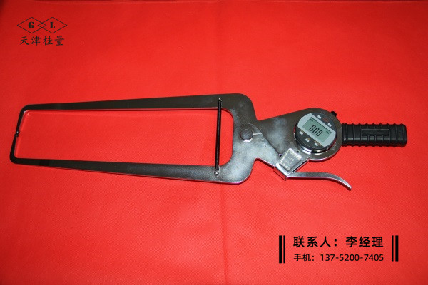 新型數(shù)顯外卡規(guī)0-50×300mm
