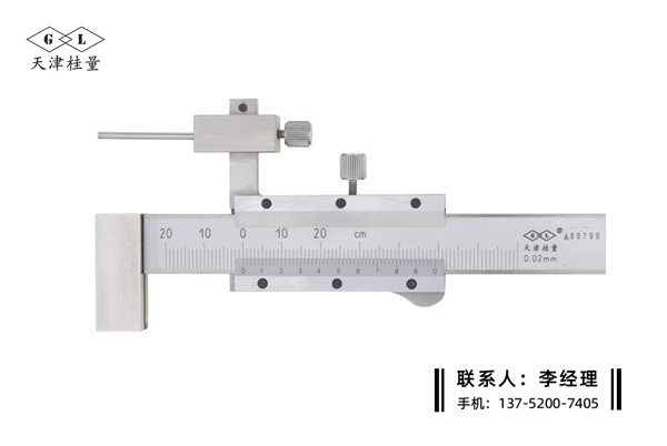 游標(biāo)面差尺±20mm