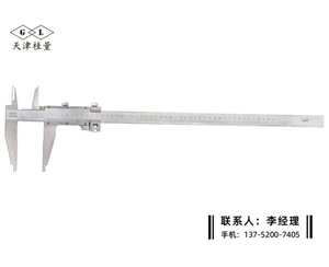 雙內(nèi)爪游標卡尺0-500mm
