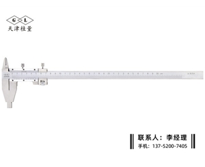雙內(nèi)爪游標卡尺0-300mm