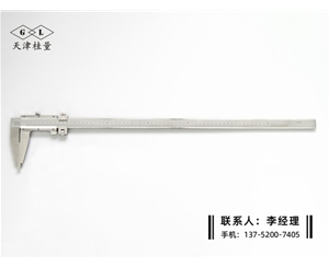 Ⅳ型游標卡尺0-600mm