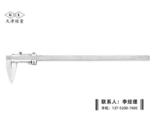 Ⅳ型游標卡尺0-500mm
