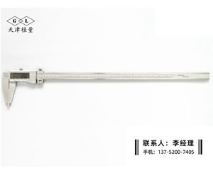 Ⅳ型數(shù)顯卡尺0-600mm