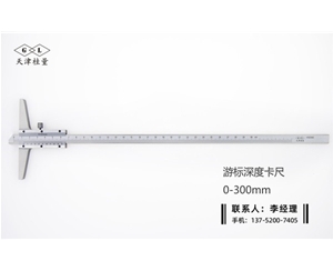 深度游標卡尺0-300mm