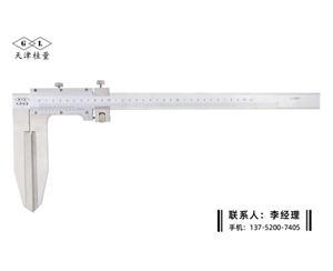 加長(zhǎng)刃口游標(biāo)卡尺0-300mm