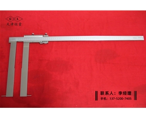 加長圓柱頭內(nèi)溝卡尺100-600×250mm