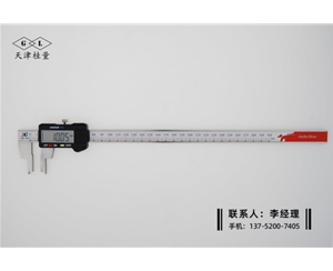 限位外溝槽數顯卡尺0-300mm(1)