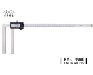 加長爪圓柱頭數顯卡尺0-300×100mm