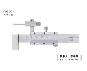 游標(biāo)面差尺±20mm